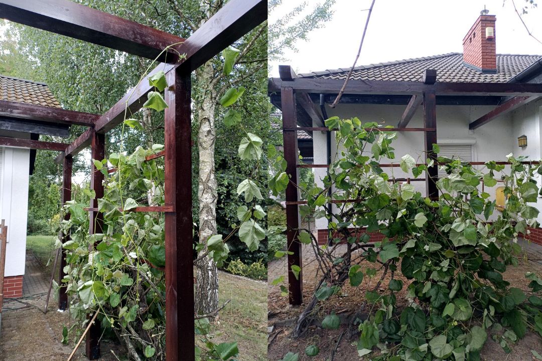 Pergola