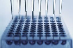 artrosi cellule staminali protesi