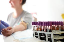 donazione cellule staminali