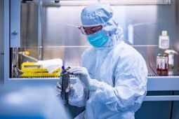 cellule staminali cordonali