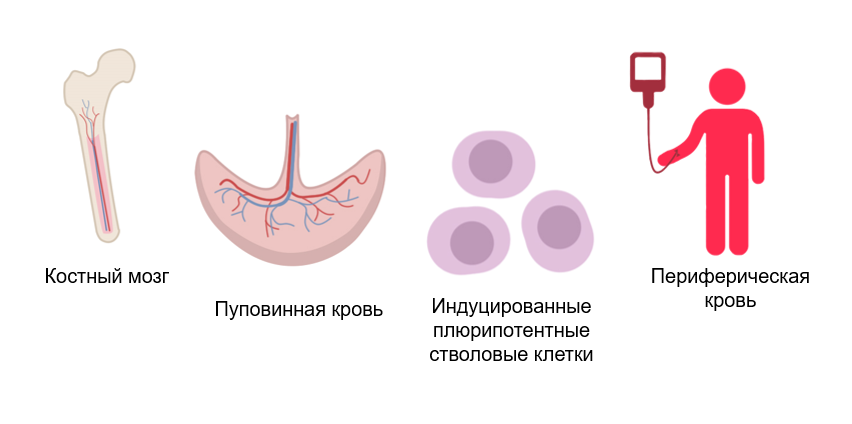 Источники NK-клеток