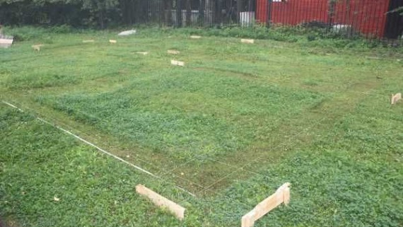 Разбивка участка