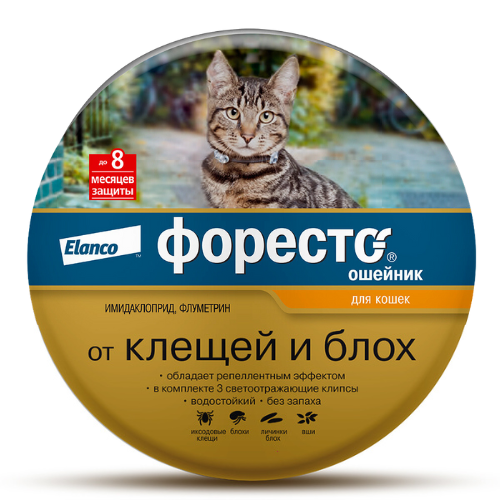Форесто® – ошейник от клещей и блох для кошек.
