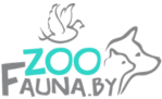 Интернет магазин zoofauna