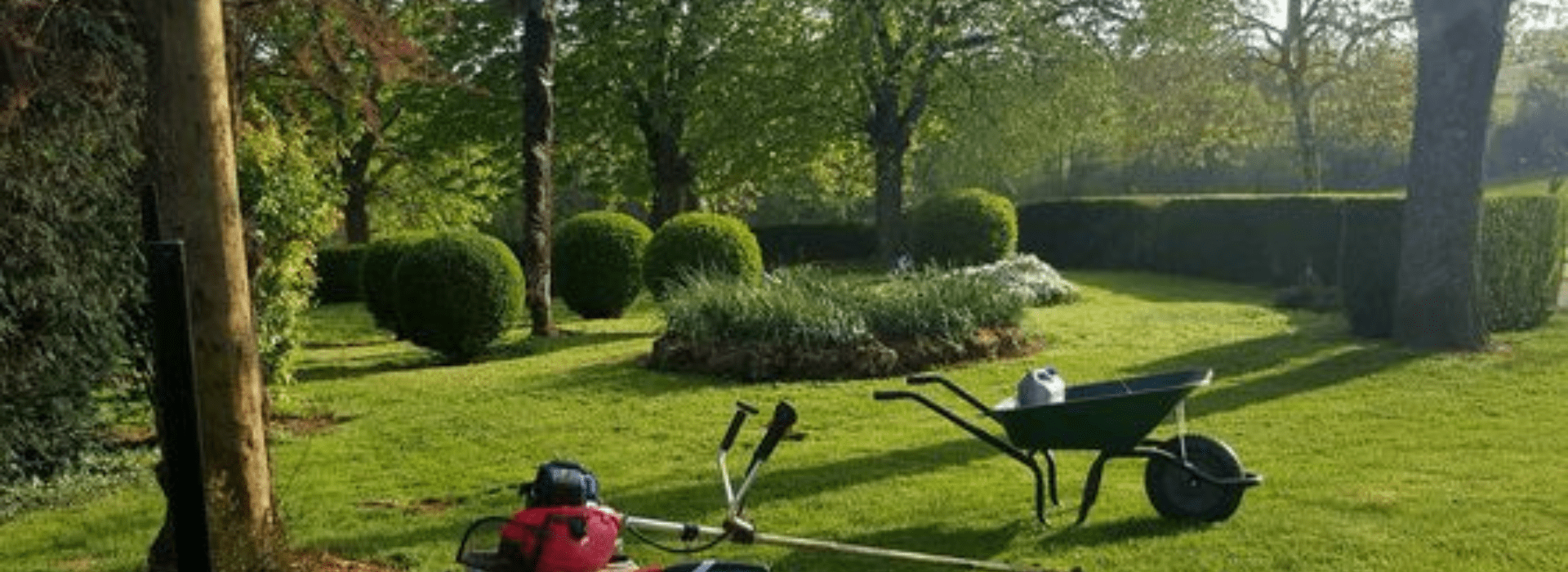 Стрижка газона в Минске и во всех городах РБ