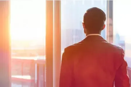 Солнцезащитное безрамное остекление