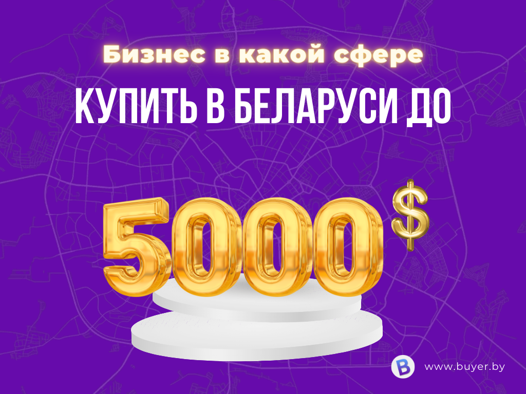 В какой сфере можно купить бизнес в Беларуси до 5000$