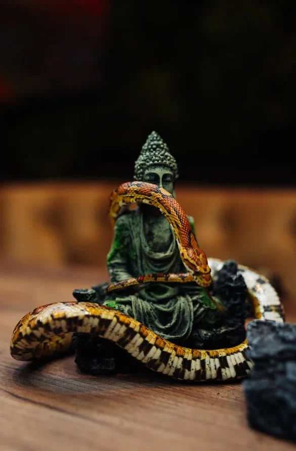 Купить готовый бизнес, кафе, бар в центре Минска, возле метро, ул. Карла Маркса. Продается рестобар Amazonka / Амазонка - подробнее в каталоге buyer.by