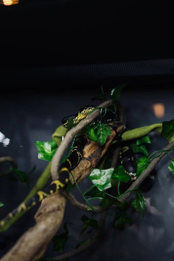 Купить готовый бизнес, кафе, бар в центре Минска, возле метро, ул. Карла Маркса. Продается рестобар Amazonka / Амазонка - подробнее в каталоге buyer.by