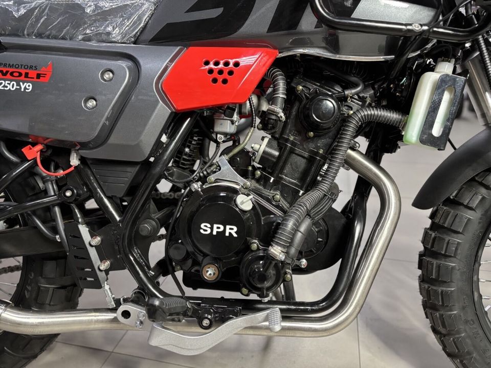 racermotors.by - Мотоцикл SPRMOTORS Wolf 300 WC