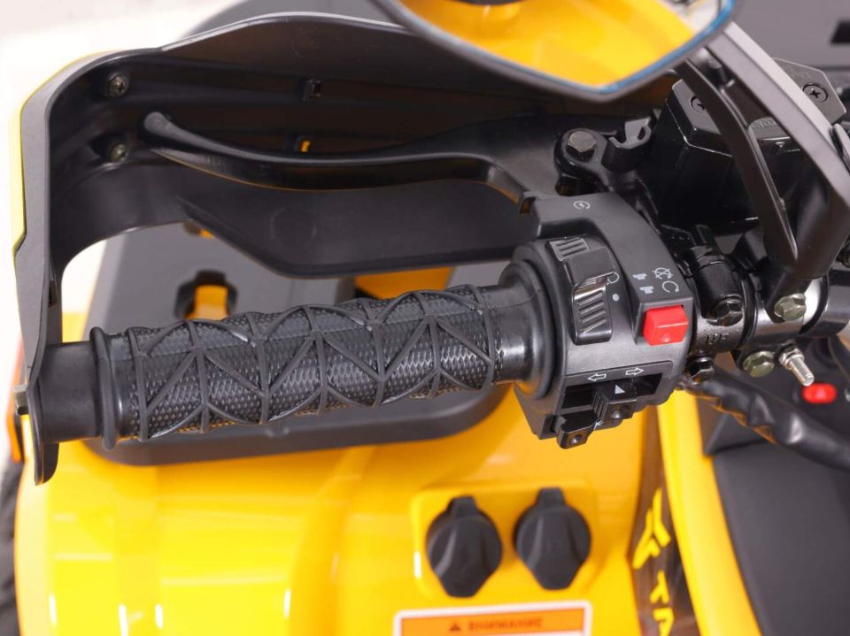 racermotors.by - Квадроцикл Motoland VOX250 WILD TRACK X PLUS