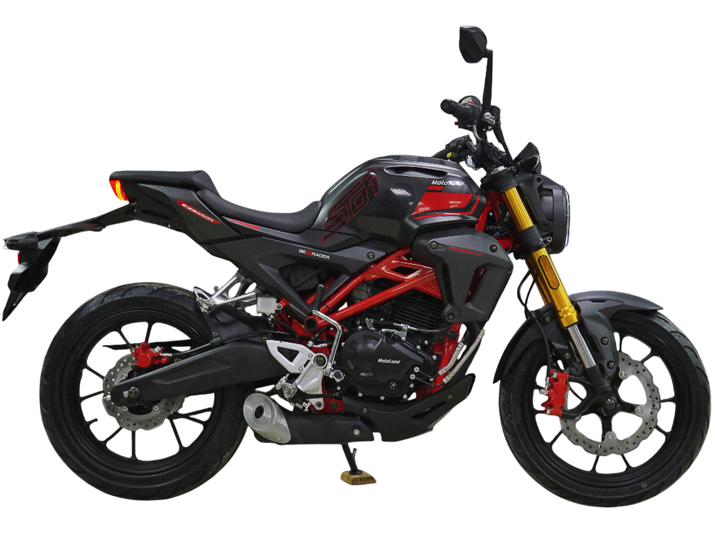 racermotors.by - Мотоцикл Motoland 501 (172FMM-5/PR250)