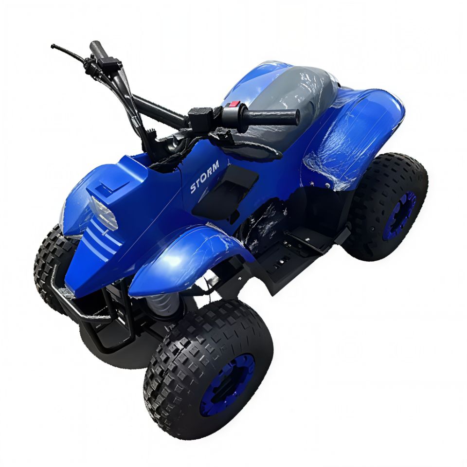 racermotors.by - Квадроцикл детский Storm Robo 110