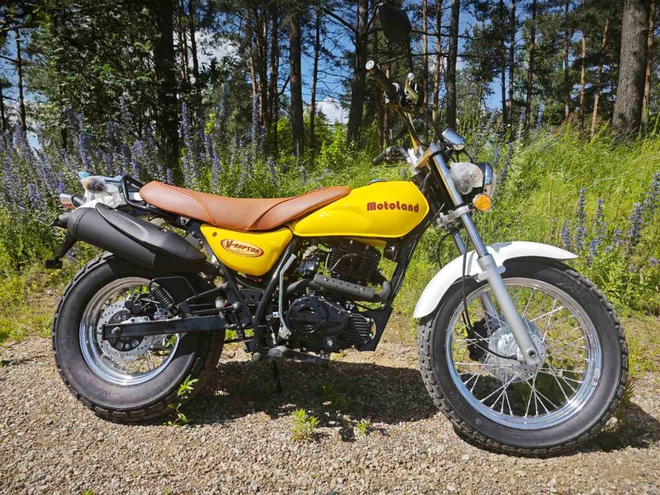 racermotors.by - Мотоцикл Motoland V-RAPTOR 250