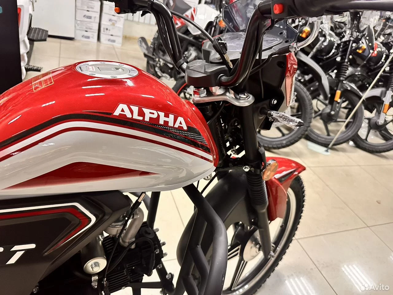 мопед.бел - Мопед Motoland Alpha RT 11