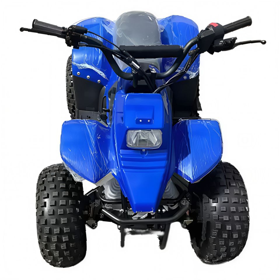 racermotors.by - Квадроцикл детский Storm Robo 110