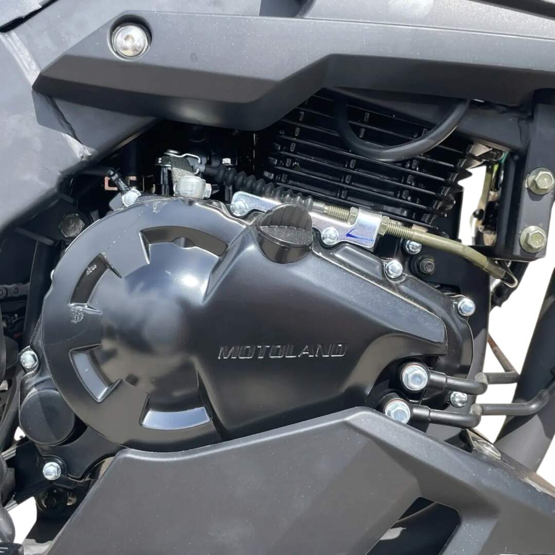 racermotors.by - Мотоцикл Motoland WASP 300