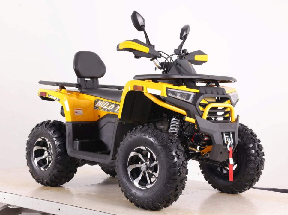 racermotors.by - Квадроцикл Motoland VOX250 WILD TRACK X PLUS