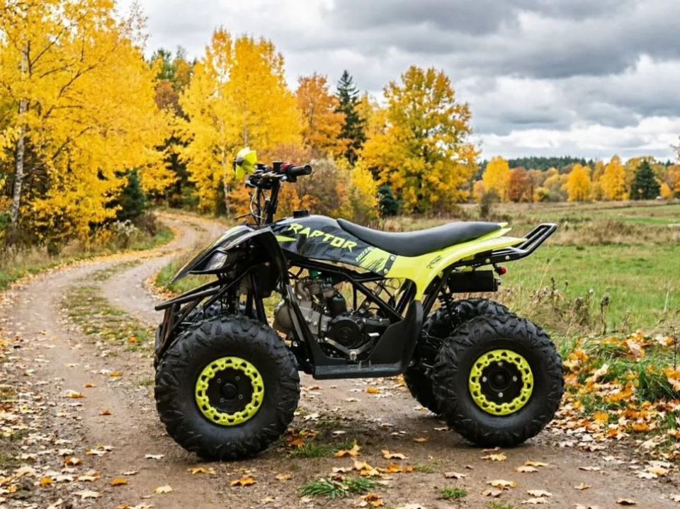 racermotors.by - Квадроцикл детский Motoland VOX125 RAPTOR