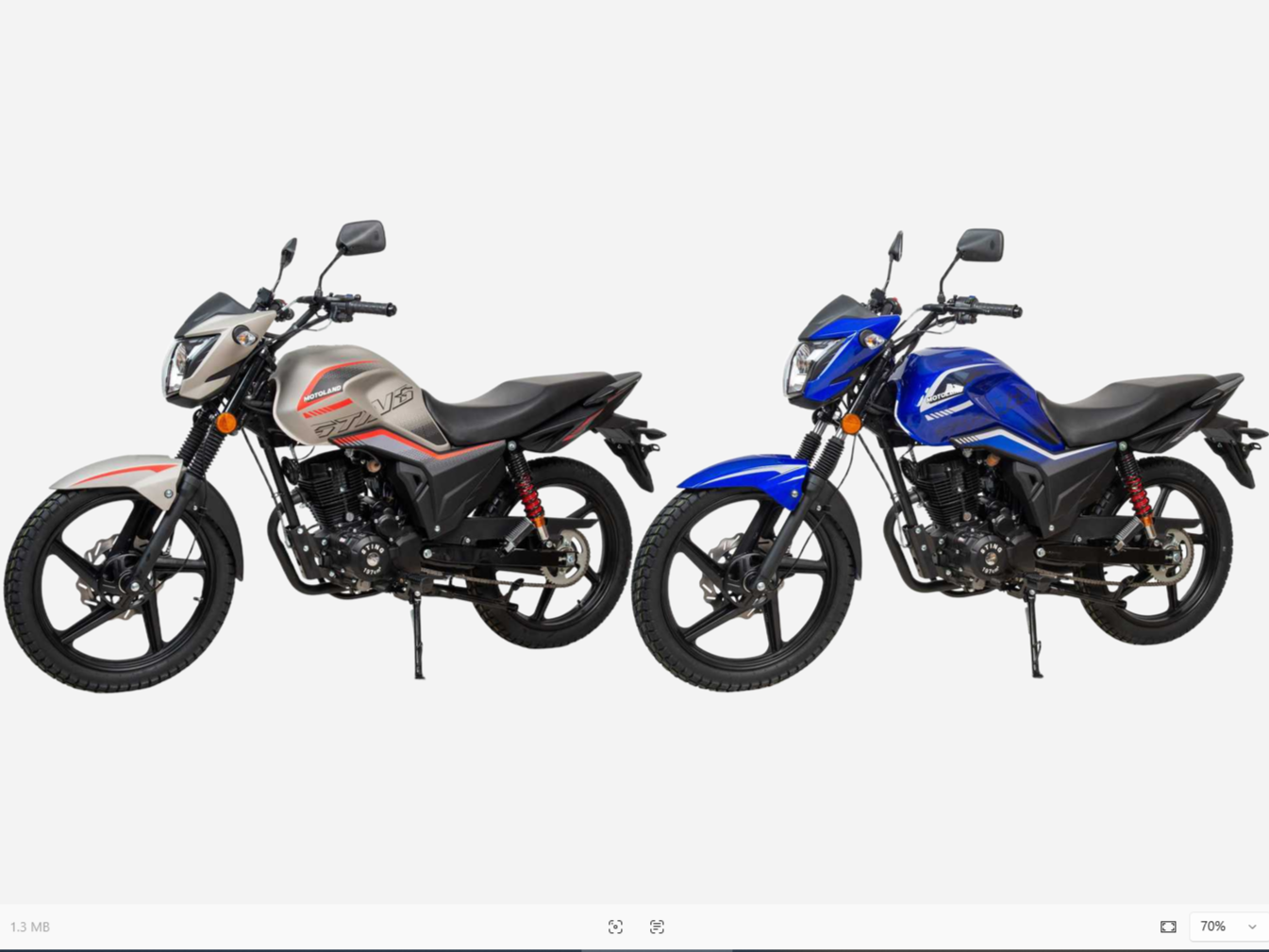 racermotors.by - Мотоцикл Motoland STING 200