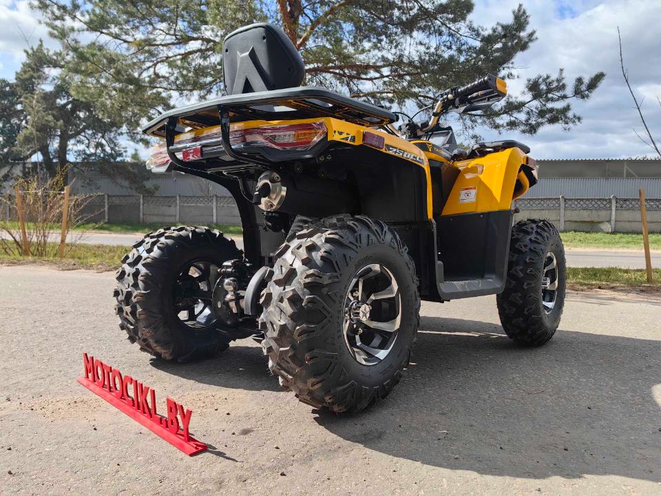 racermotors.by - Квадроцикл Motoland VOX250 WILD TRACK X PLUS