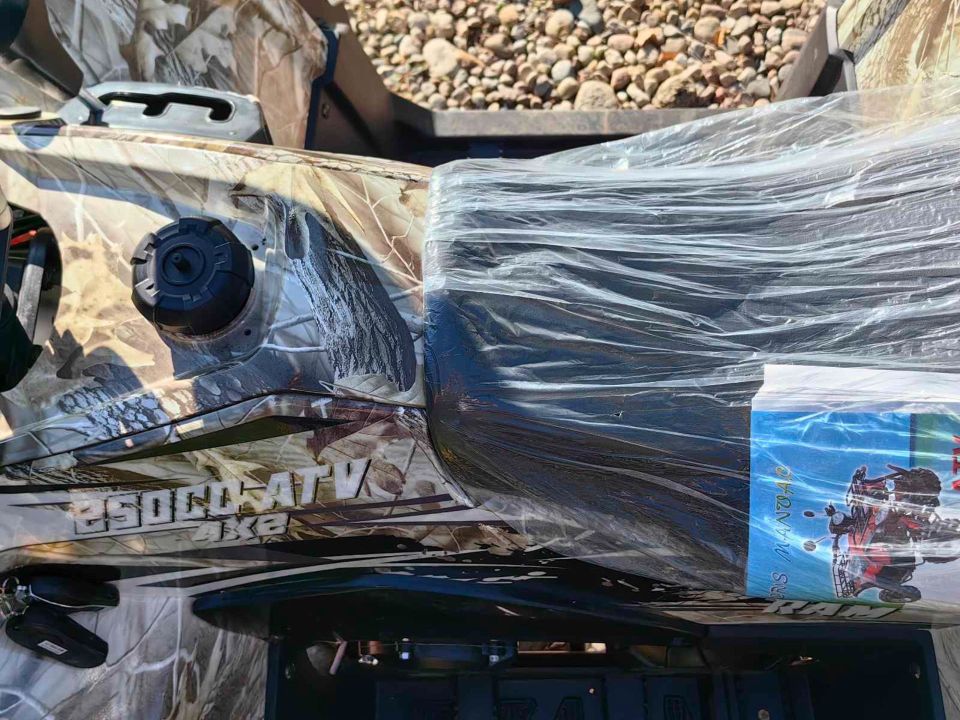 racermotors.by - Квадроцикл RAM ATV FX250