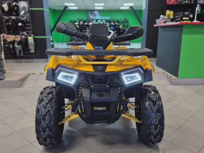 racermotors.by - Квадроцикл Motoland 200 Wild Track X