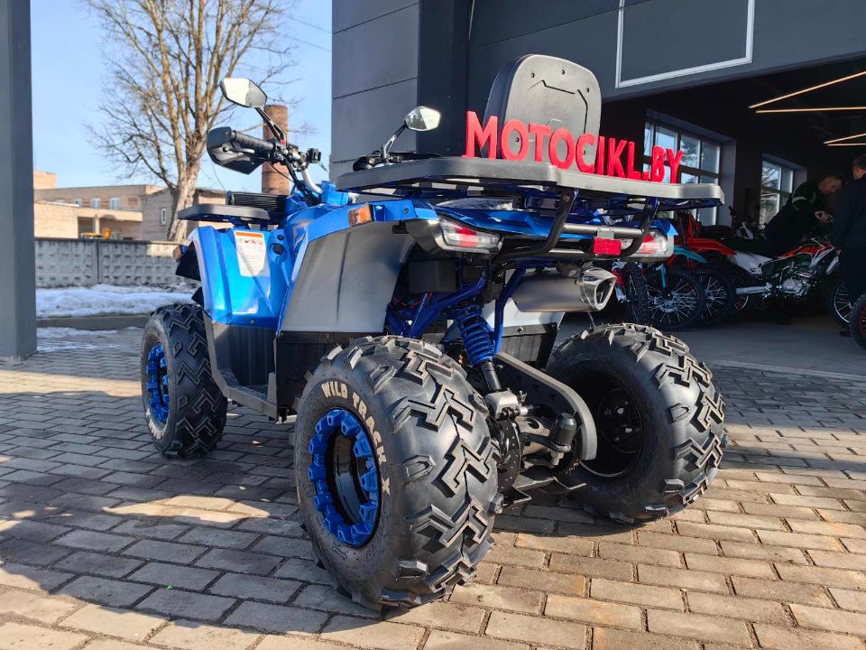 racermotors.by - Квадроцикл Wild Track 200 X WINCH