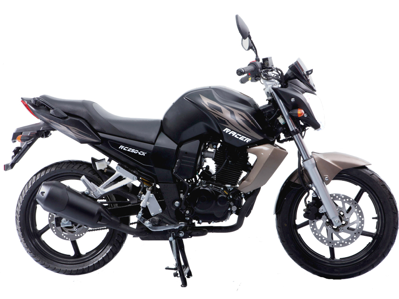 racermotors.by - Мотоцикл Racer RC250-CK Nitro