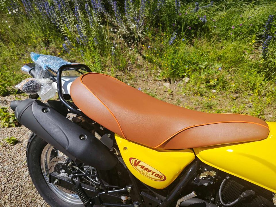 racermotors.by - Мотоцикл Motoland V-RAPTOR 250