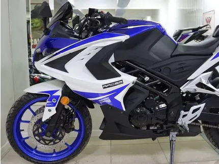 racermotors.by - МОТОЦИКЛ RACER STORM RC250XZR-A