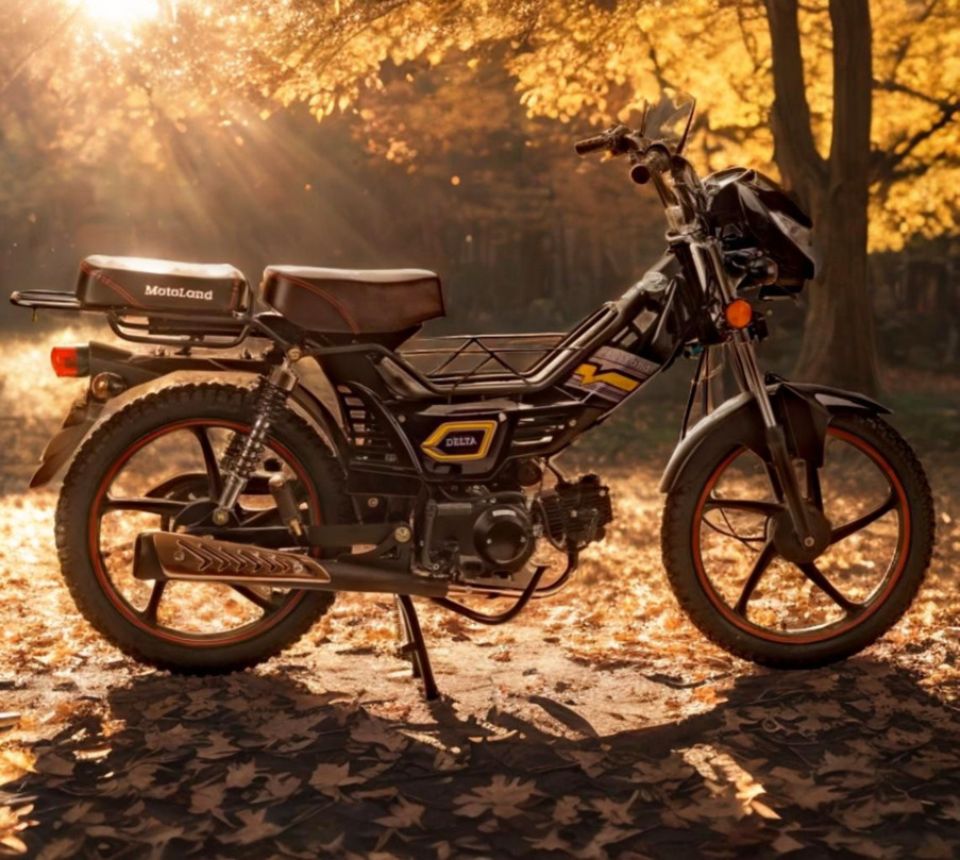 racermotors.by - Мопед Motoland Дельта