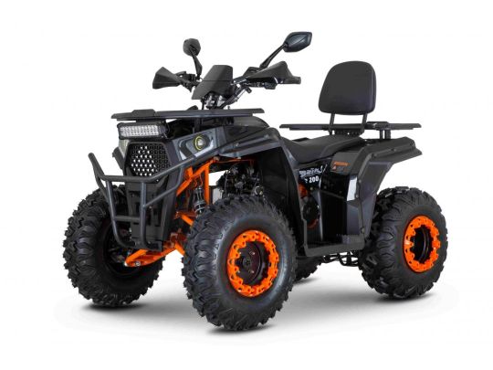 motovelozavod.by - Квадроцик MINSK Dzik 200 черный