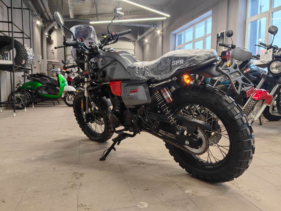 racermotors.by - Мотоцикл SPRMOTORS Wolf 300 WC
