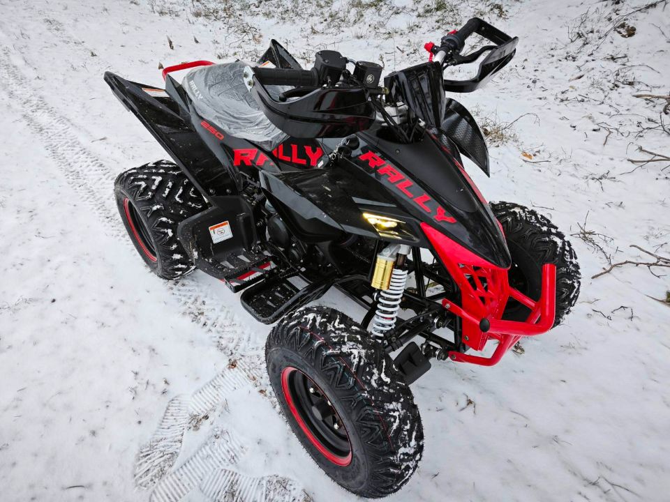 racermotors.by - Квадроцикл Motoland VOX250 RALLY