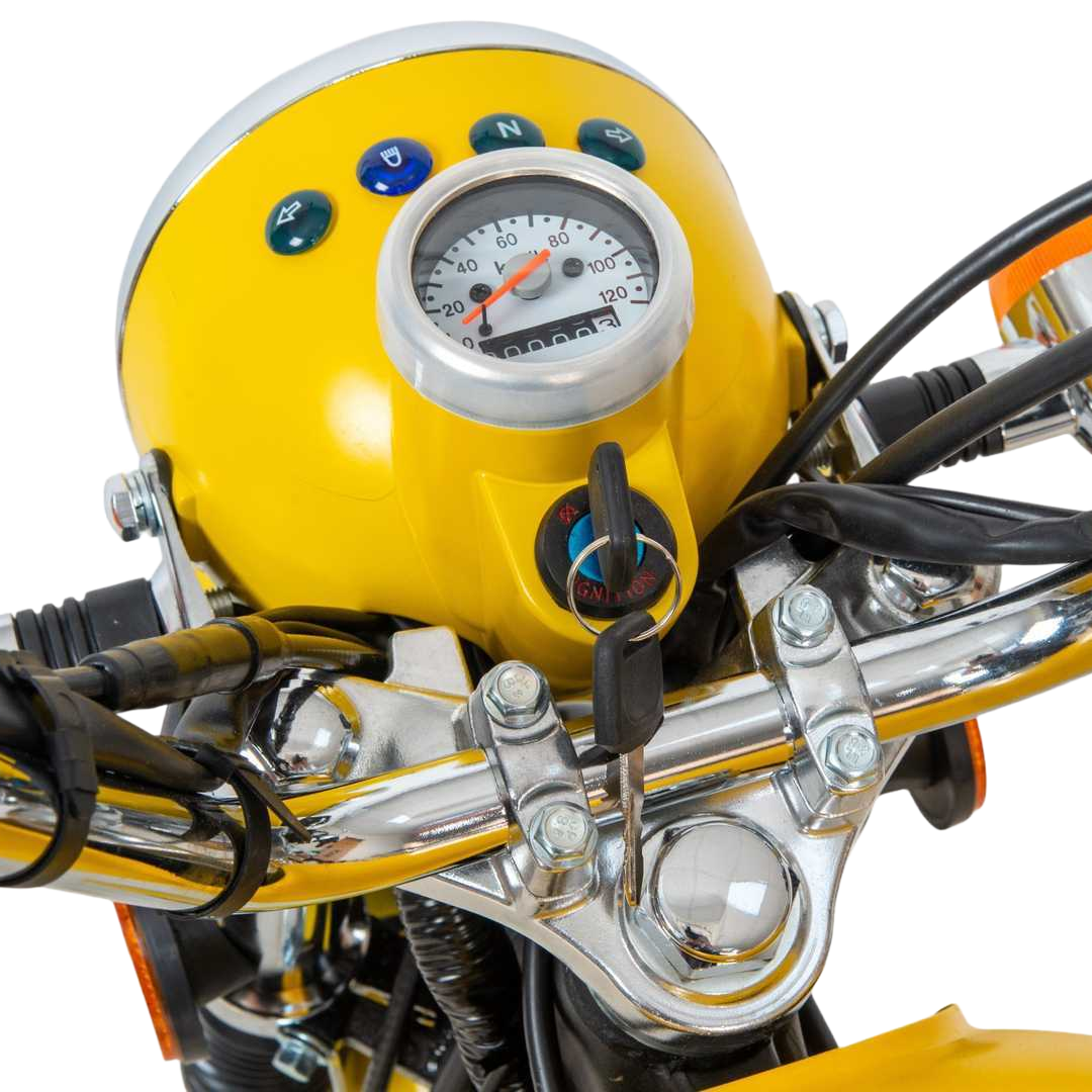 racermotors.by - Классическая механика, экономичный мотор LM48-E и ретро-эстетика, Мопед Альфа VINTAGE (Карпаты)