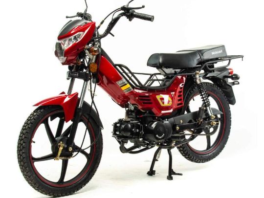 racermotors.by - мопед Motoland Альфа Дельта