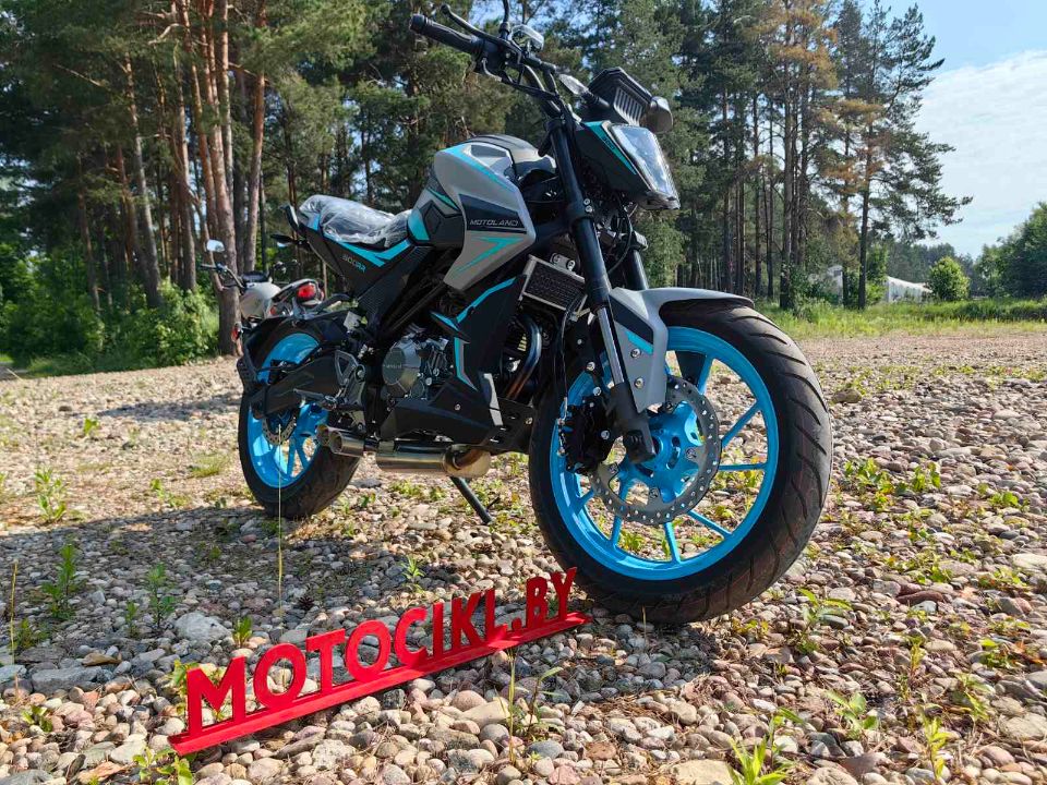 racermotors.by - Мотоцикл Motoland NK 300 STREET