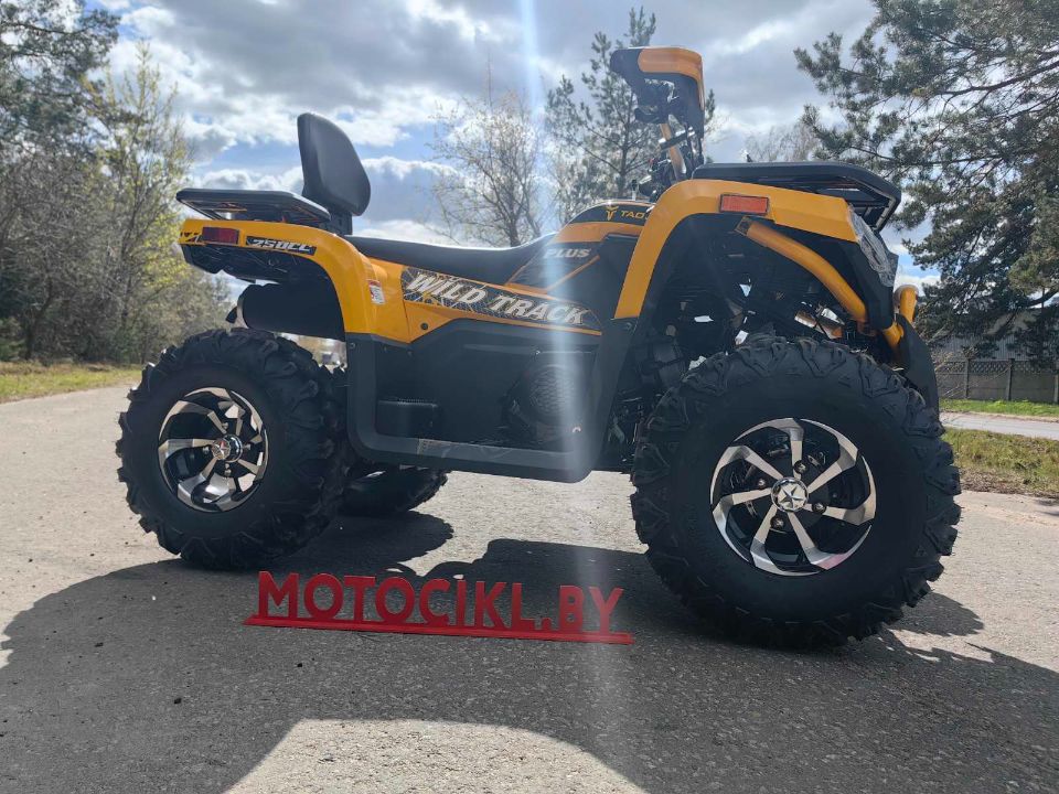 racermotors.by - Квадроцикл Motoland VOX250 WILD TRACK X PLUS