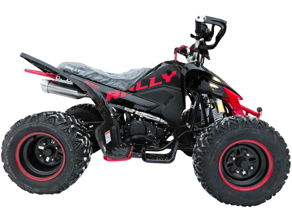 racermotors.by - Квадроцикл Motoland VOX250 RALLY