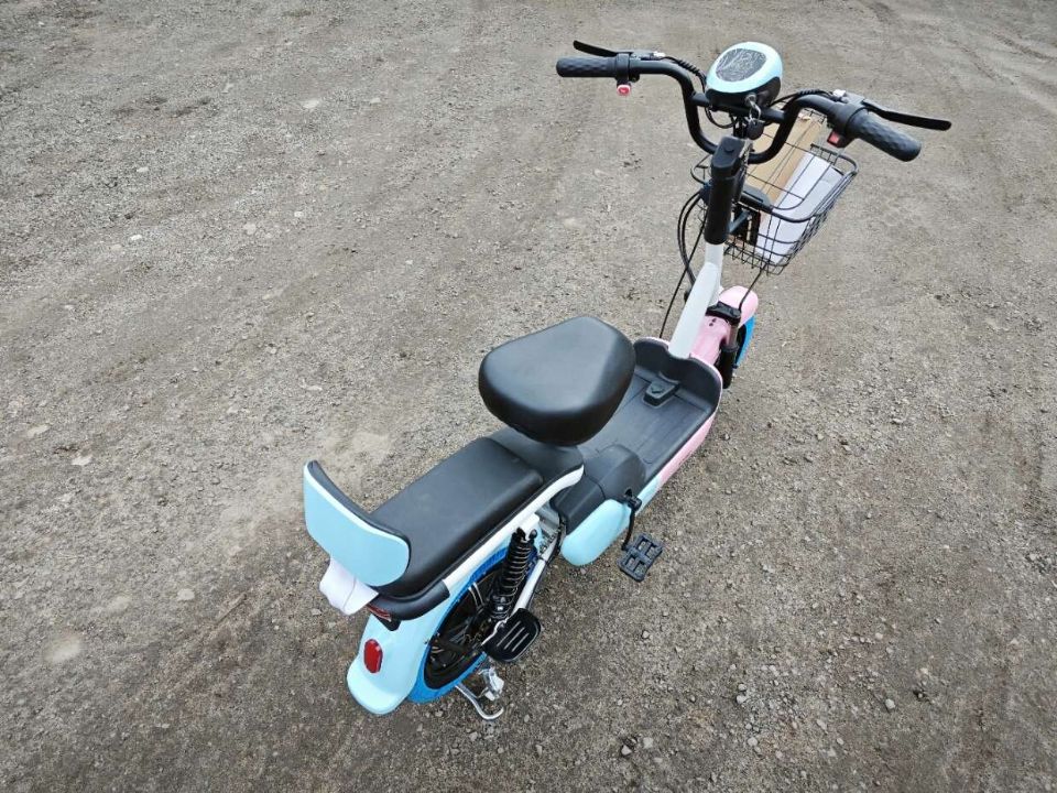 racermotors.by - Электроскутер Citycoco E1 RUN SPORT