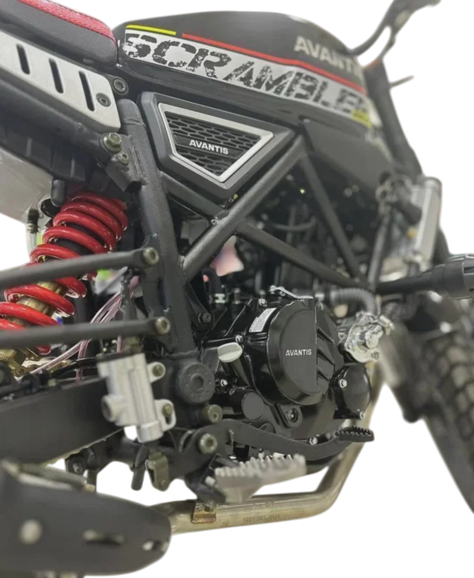racermotors.by - мощный четырехклапанный двигатель CBS300/ZS174MN-3 с водяным охлаждением и карбюратором PZ34 Avantis Сity New 250