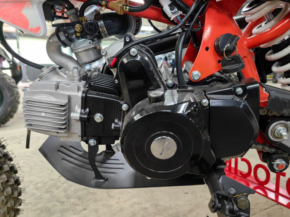 racermotors.by - Питбайк Motoland 110 APEX10 E 14/12