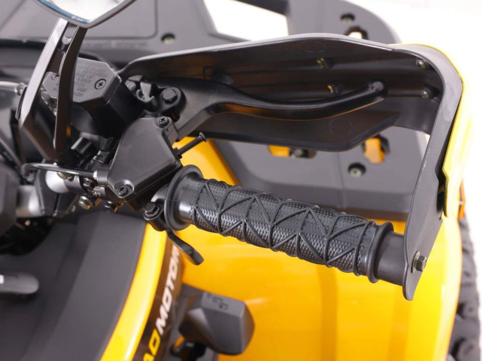 racermotors.by - Квадроцикл Motoland VOX250 WILD TRACK X PLUS