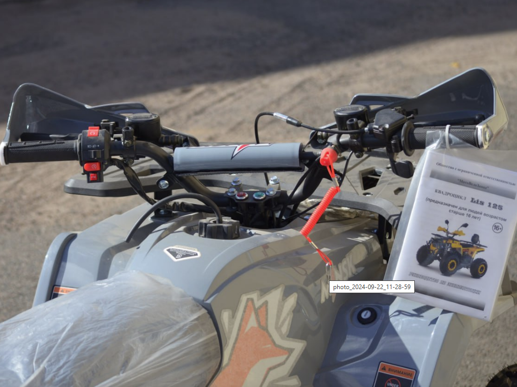 racermotors.by - Квадроцикл детский Минск Lis 125