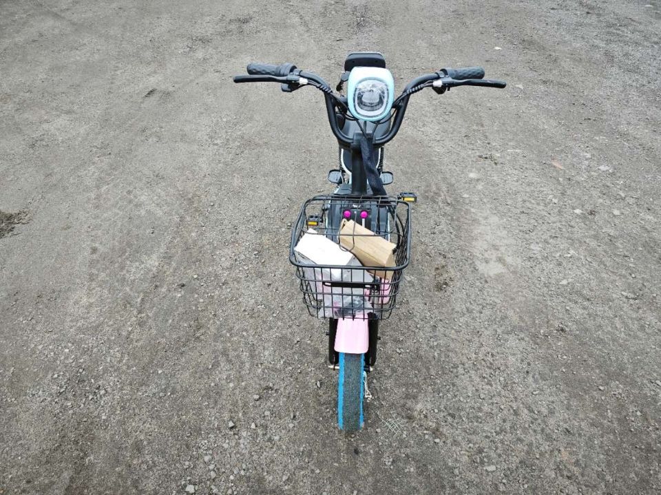 Электроскутер Citycoco E1 RUN SPORT