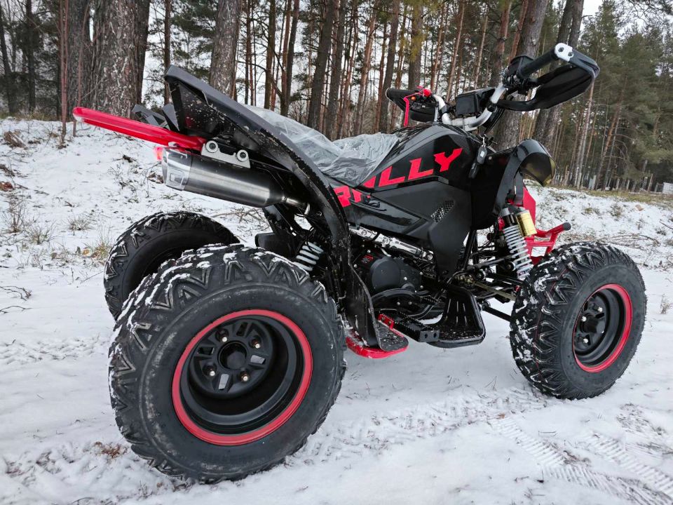 racermotors.by - Квадроцикл Motoland VOX250 RALLY