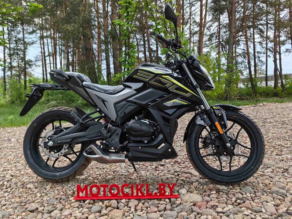 racermotors.by - Мотоцикл ATAKI Batllo (4T PR300 Pro) 17/17