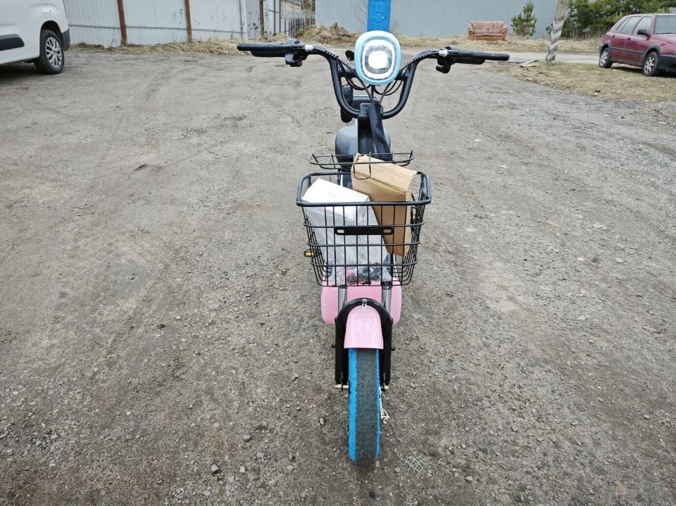 Электроскутер Citycoco E1 RUN SPORT