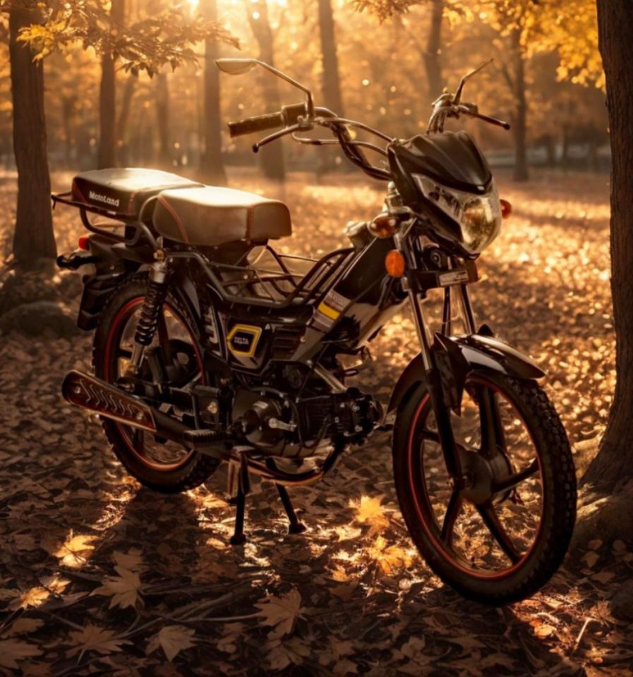 racermotors.by - Мопед Motoland Дельта